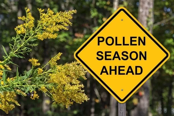 Yellow “Pollen Season Ahead” warning sign beside blooming plants releasing pollen during spring allergy season