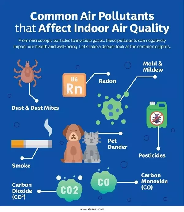 common indoor air pollutants including dust mold pet dander smoke and bacteria affecting air quality